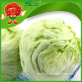 Factory price iceberg lettuce for sale